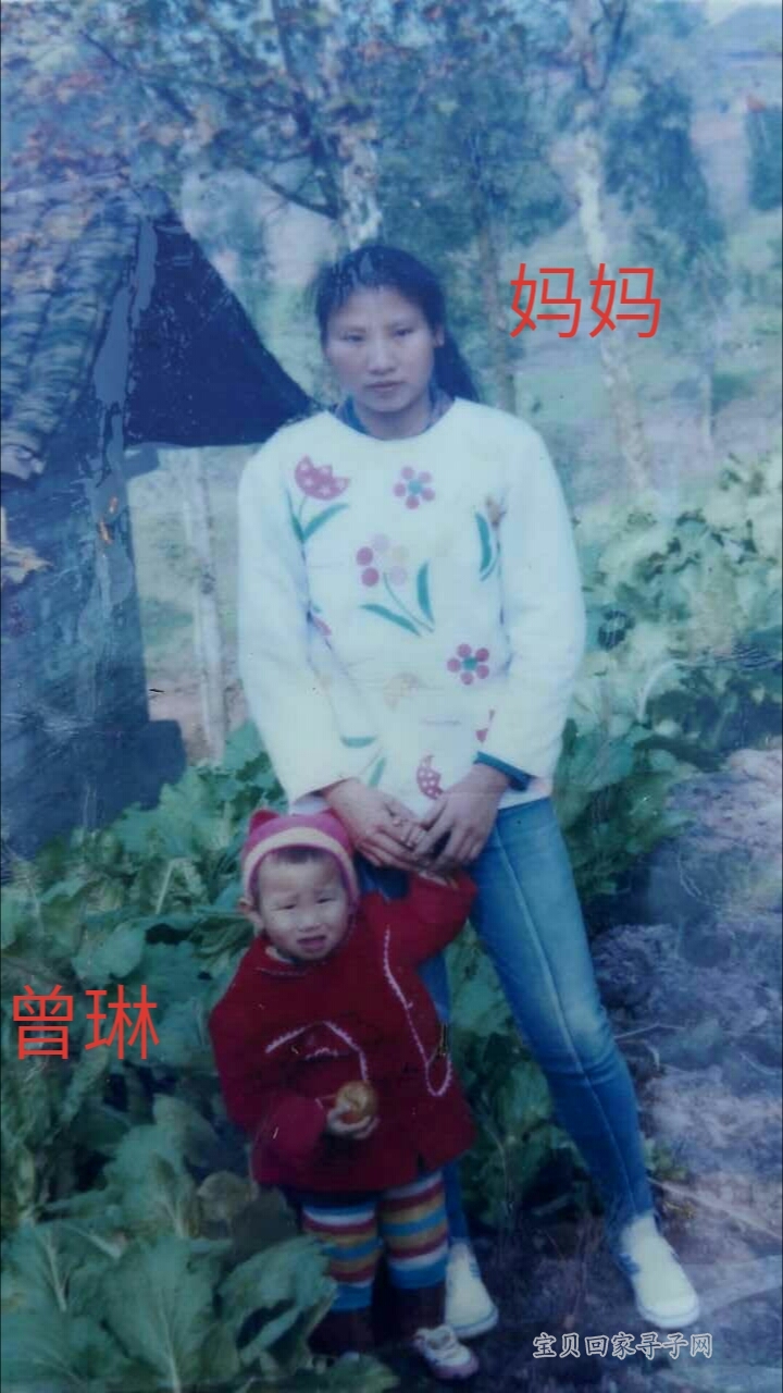 华西村人均收入_1993年城镇人均收入